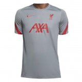 Liverpool Short Training Light Grey Soccer Jerseys Mens 2020/21