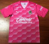 Chivas Goalie Soccer Jerseys Mens Pink 2020/21