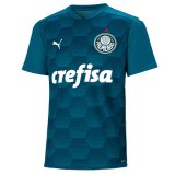 Palmeiras SP Goalkeeper Blue Soccer Jerseys Mens 2020/21