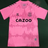 Everton Goalie Soccer Jerseys Pink 2020/21