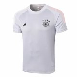 Germany Short Training Light Grey Soccer Jerseys Mens 2020/21